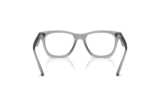 Achteraanzicht Versace VE3363U (5496)
