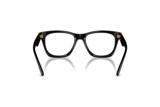 Achteraanzicht Versace VE3363U (GB1)