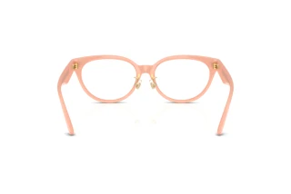 Achteraanzicht Versace VE3370D (5497)
