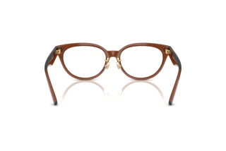 Achteraanzicht Versace VE3370D (5508)