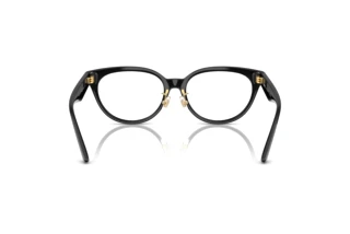 Achteraanzicht Versace VE3370D (GB1)