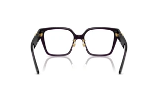 Achteraanzicht Versace VE3371D (5263)
