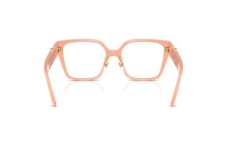 Achteraanzicht Versace VE3371D (5497)