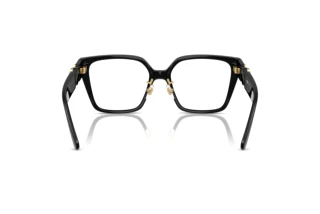Achteraanzicht Versace VE3371D (GB1)