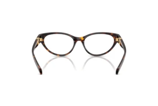 Achteraanzicht Versace VE3372U (108)