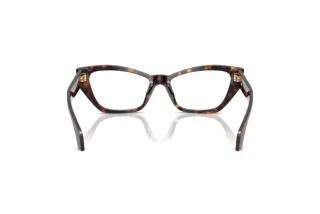 Achteraanzicht Versace VE3373U (108)
