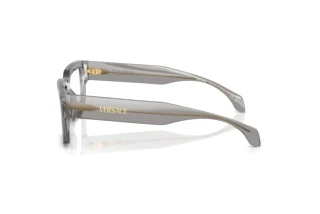 Zijaanzicht Versace VE3374U (5510)