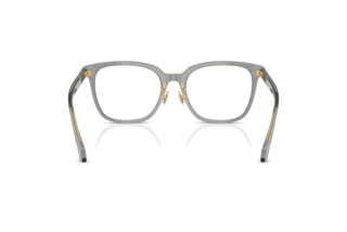 Achteraanzicht Versace VE3378D (5510)