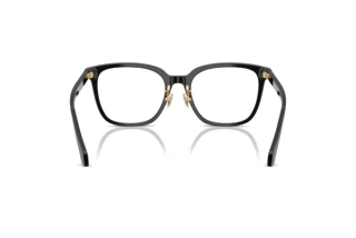 Achteraanzicht Versace VE3378D (GB1)