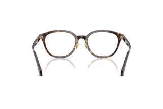 Achteraanzicht Versace VE3379D (108)