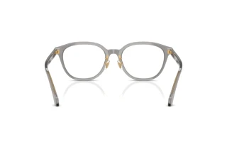 Achteraanzicht Versace VE3379D (5510)
