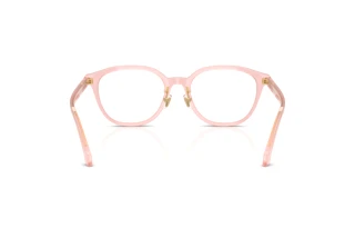 Achteraanzicht Versace VE3379D (5525)