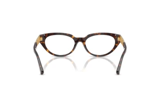 Achteraanzicht Versace VE3383 (108)