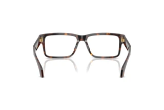 Achteraanzicht Versace VE3391U (108)