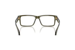 Achteraanzicht Versace VE3391U (5542)