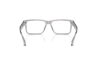 Achteraanzicht Versace VE3391U (593)