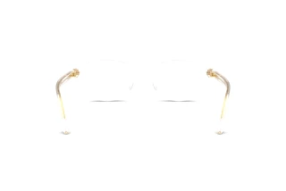 Achteraanzicht Versace VE3393D (148)