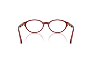 Achteraanzicht Versace VE3393D (5540)