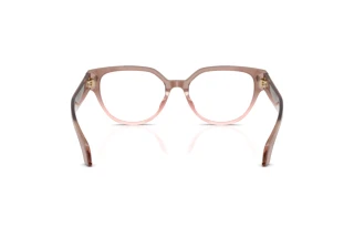 Achteraanzicht Versace VE3394D (5435)