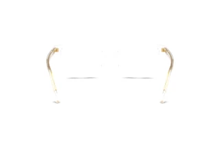 Achteraanzicht Versace VE3398 (148)