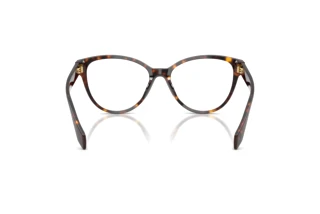 Achteraanzicht Versace VE3399U (108)