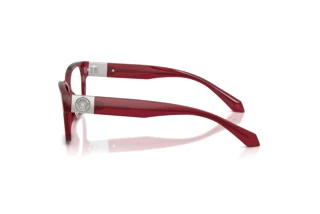 Zijaanzicht Versace VE3401U (388)