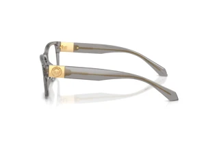 Zijaanzicht Versace VE3403U (5510)