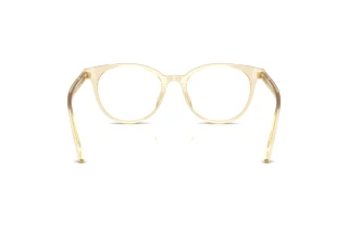 Achteraanzicht Versace VE3404D (5556)