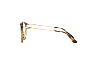Zijaanzicht Vogue Eyewear VO5387 (W656)