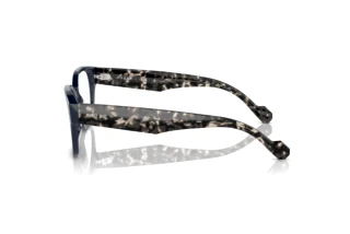 Zijaanzicht Vogue Eyewear VO5529 (2319)