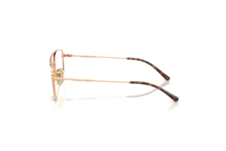 Zijaanzicht Vogue Eyewear VY1001 (5152)