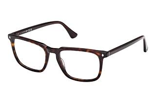 Web Eyewear WE5430 052 Dunkel Havanna