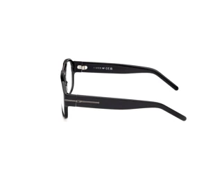 Zijaanzicht Web Eyewear WE5480 (001)
