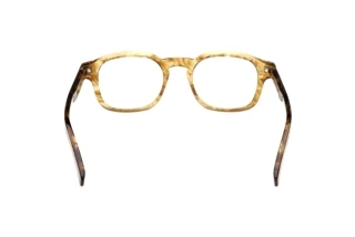 Achteraanzicht Zegna EZ5293 (047)