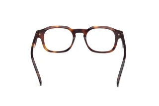 Achteraanzicht Zegna EZ5293 (052)