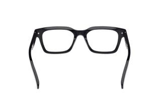 Achteraanzicht Zegna EZ5294 (001)