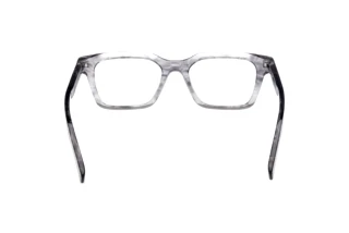 Achteraanzicht Zegna EZ5294 (020)