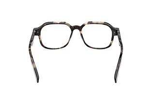 Achteraanzicht Zegna EZ5305 (055)