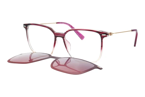 Bril Bogner 66020 3500