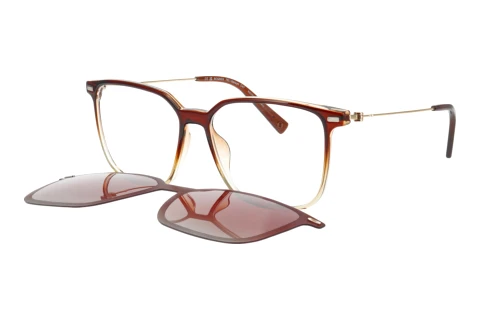 Bril Bogner 66020 5100
