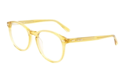 Bril Calvin Klein CK22504 260