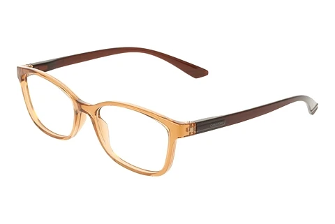 Bril Calvin Klein CK23525N 209