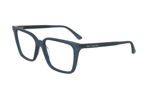 Bril Calvin Klein CK24544 N 445
