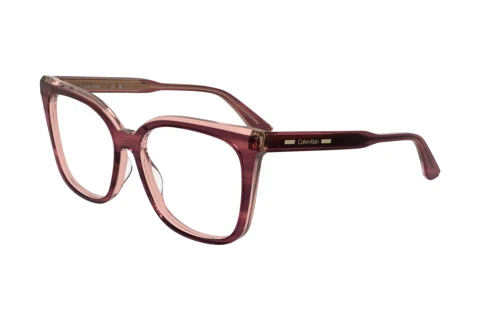 Bril Calvin Klein CK25511 N 605