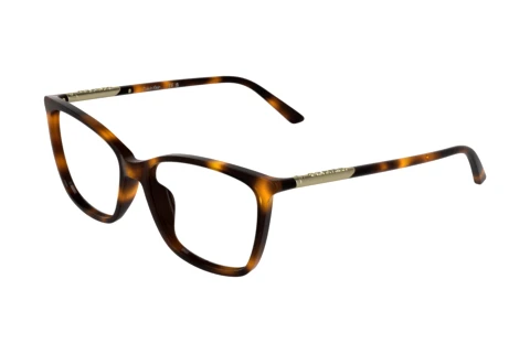 Bril Calvin Klein CK26509 240