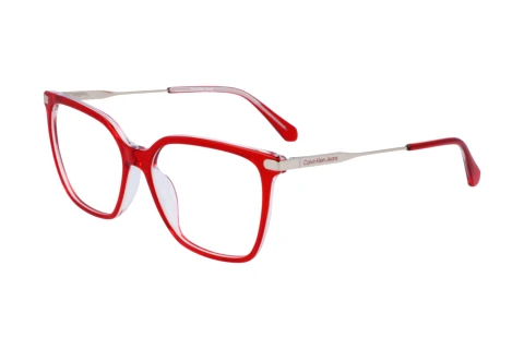 Bril Calvin Klein CKJ22646 N 600