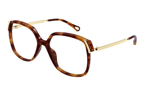 Bril Chloé CH0287O 002