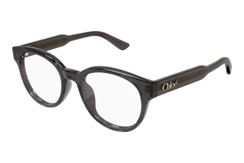Bril Chloé CH0343OA 001