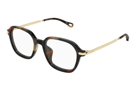 Bril Chloé CH0361OA 002