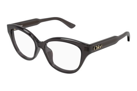 Bril Chloé CH0381OL 006